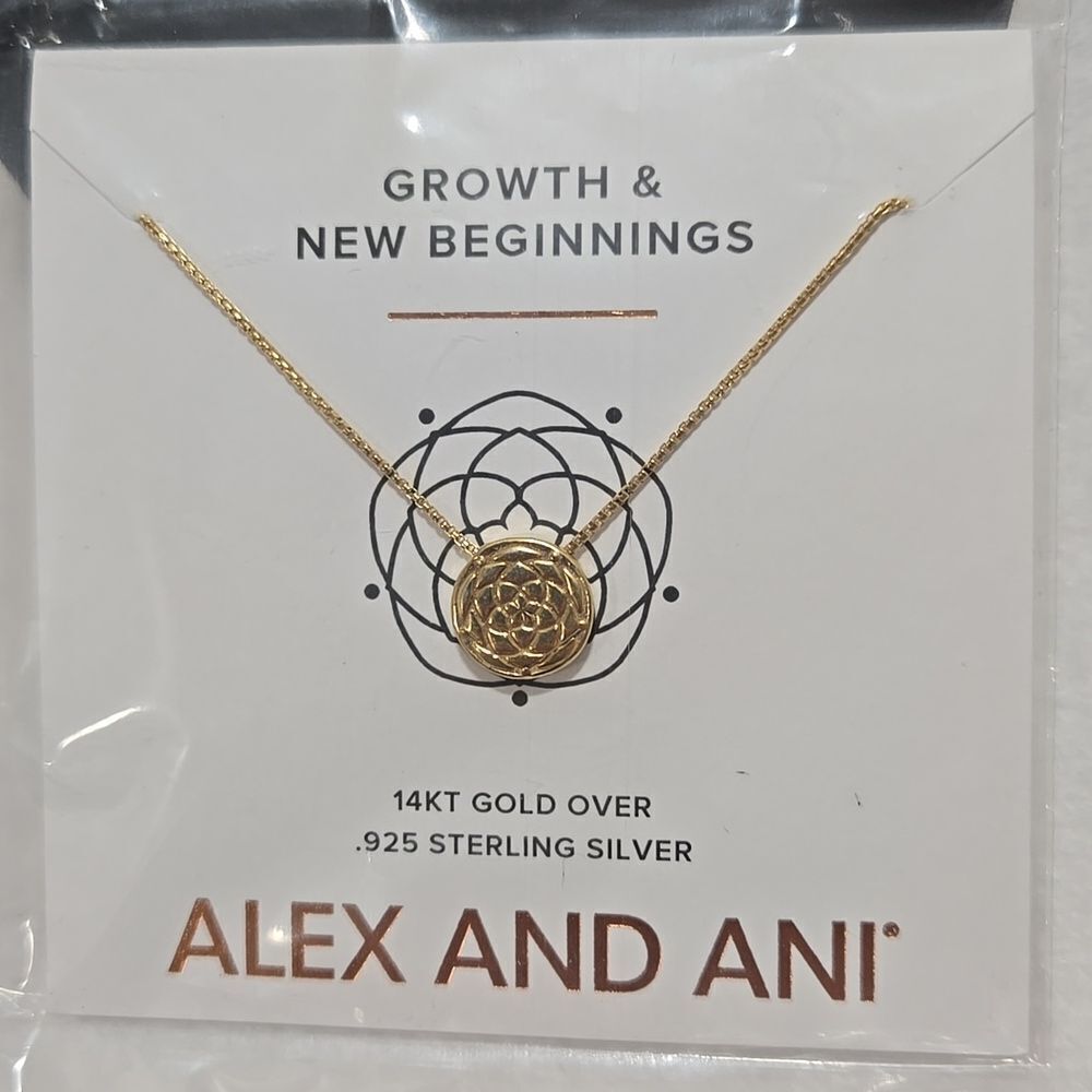 Alex and Ani 14k Gold And 925 Silver Necklace